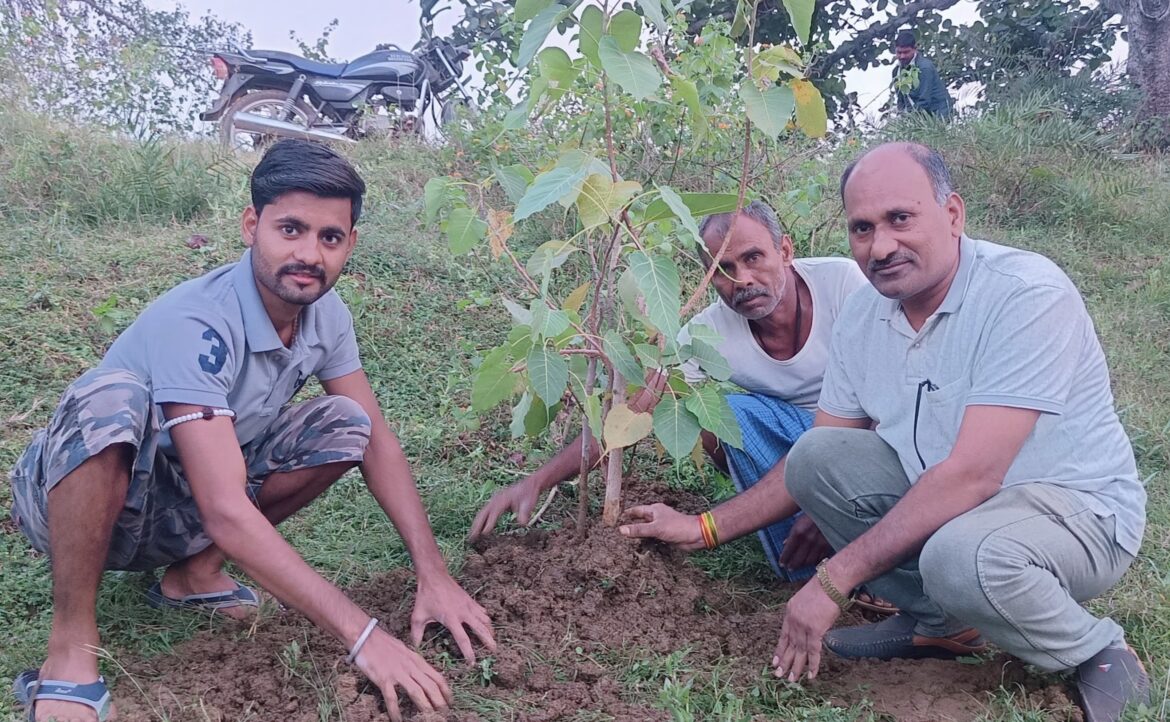 भाजपा कार्यकर्ता रूपचंद साहू ने जन्मदिवस किया वृक्षारोपण